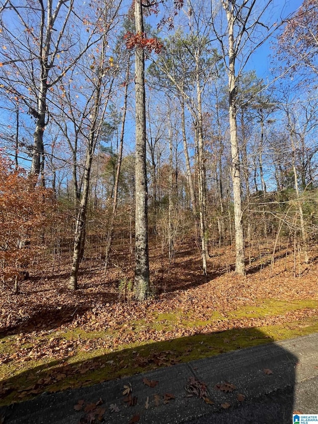 LOT5 Furnace Creek Pkwy Unit 5, Mccalla, AL 35111