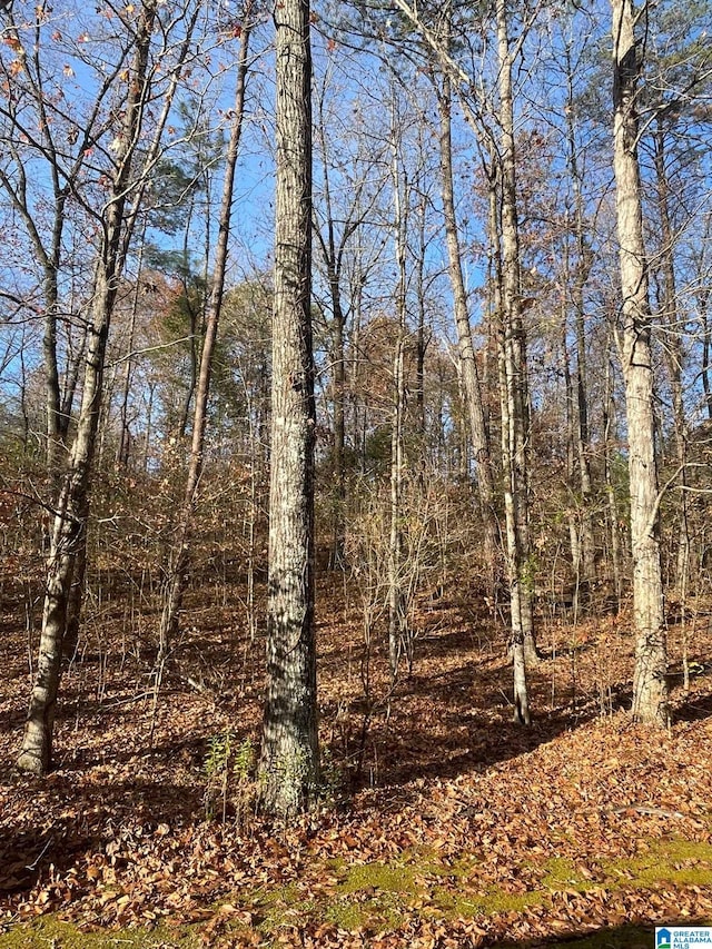 LOT5 Furnace Creek Pkwy Unit 5, Mccalla, AL 35111