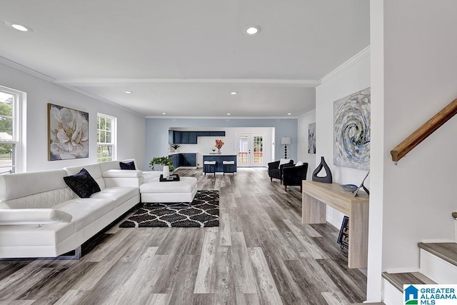 living room featuring wood-type flooring and ornamental molding