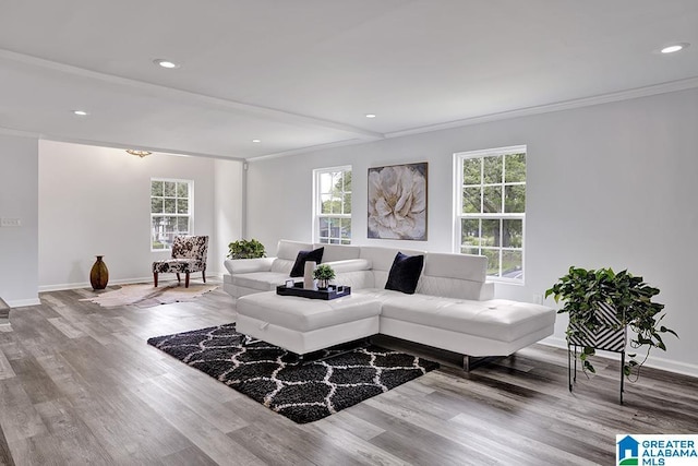 living room featuring light hardwood / wood-style flooring and crown molding