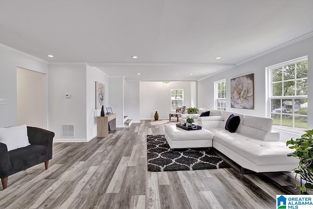 living room with ornamental molding and light wood-type flooring