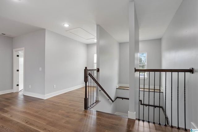 staircase featuring wood-type flooring