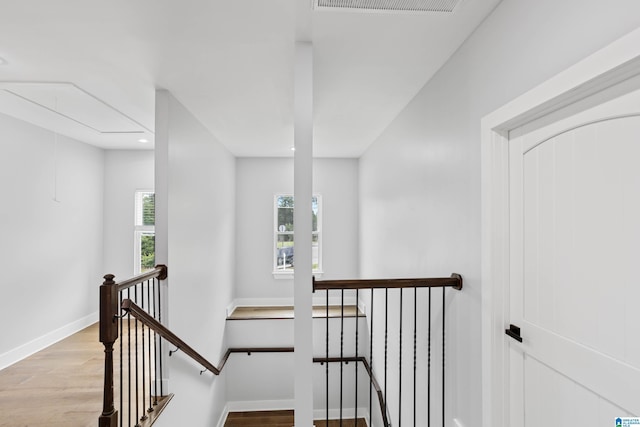 stairs with wood-type flooring and a healthy amount of sunlight