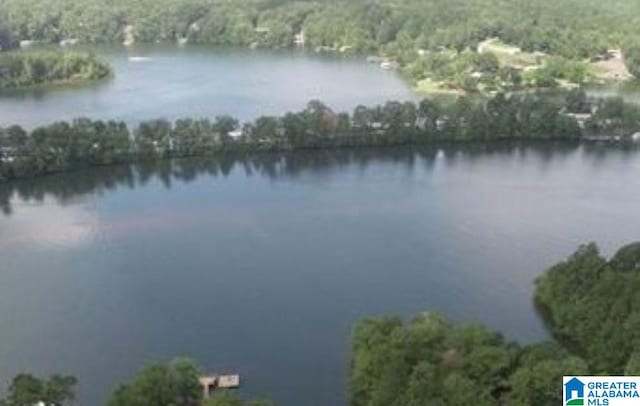 LOT28 Piney Woods Dr Unit 28, Wedowee, AL 36278