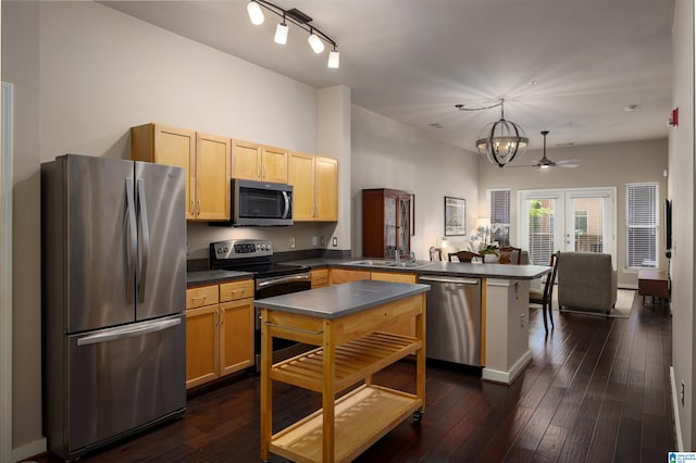 kitchen with hanging light fixtures, stainless steel appliances, dark hardwood / wood-style flooring, and rail lighting