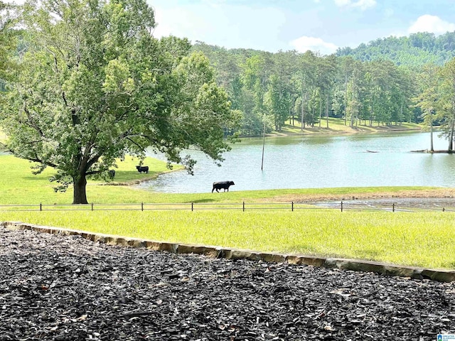 property view of water featuring a rural view