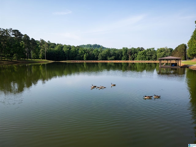 view of water feature featuring a gazebo