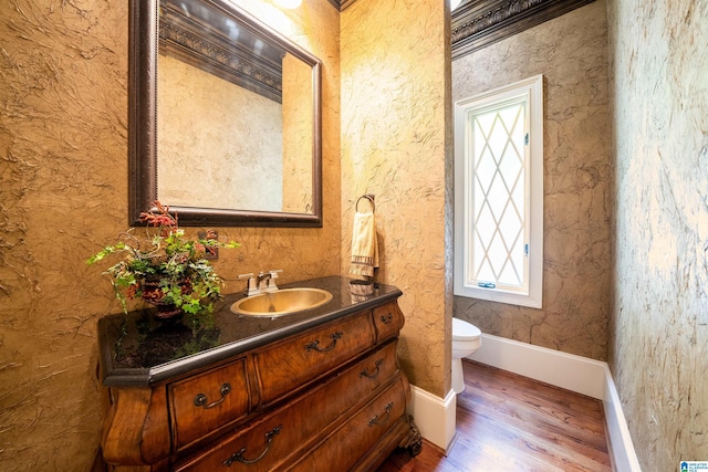 bathroom featuring wood-type flooring, toilet, and vanity