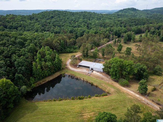 birds eye view of property with a rural view and a water view