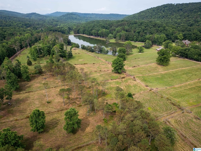 birds eye view of property with a water and mountain view and a rural view