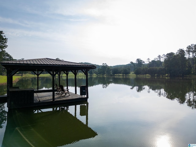 dock area with a water view