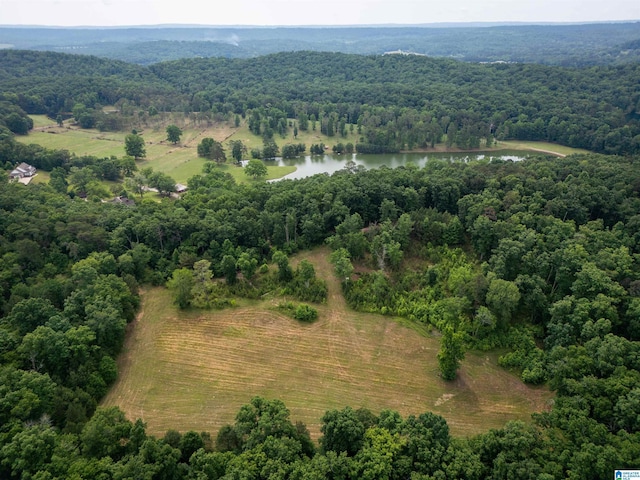 birds eye view of property featuring a water view and a rural view