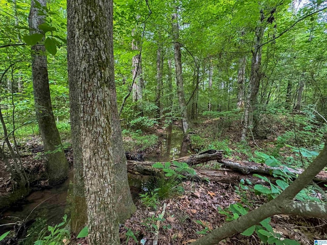 view of landscape