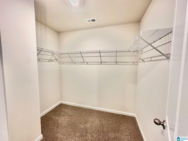 spacious closet featuring carpet