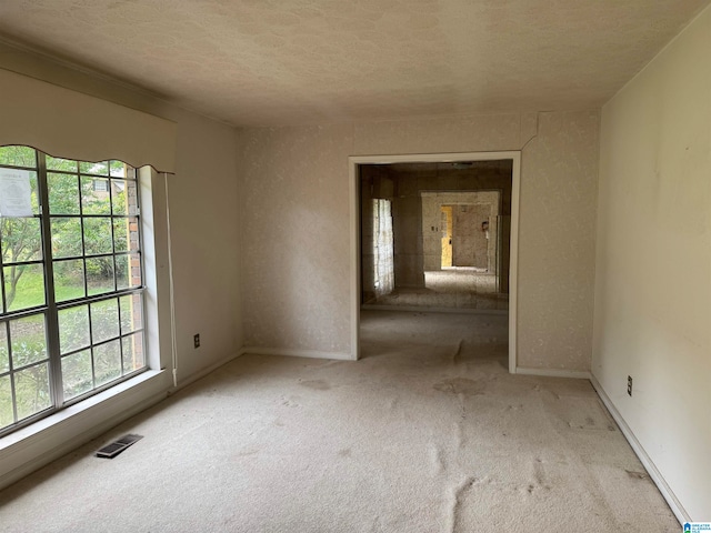 carpeted spare room with a healthy amount of sunlight and a textured ceiling