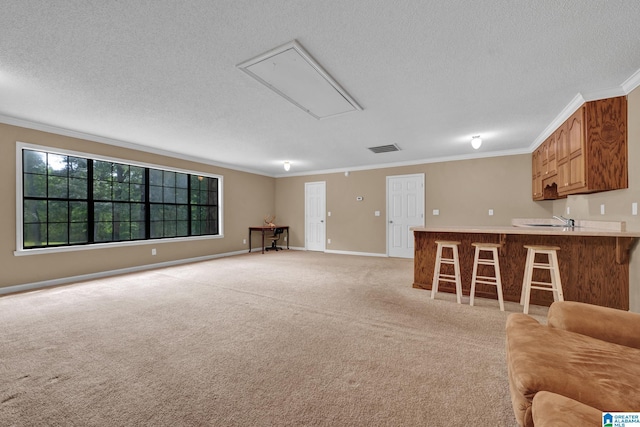 living room with light carpet, a textured ceiling, and crown molding