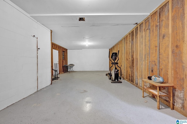 basement with wooden walls