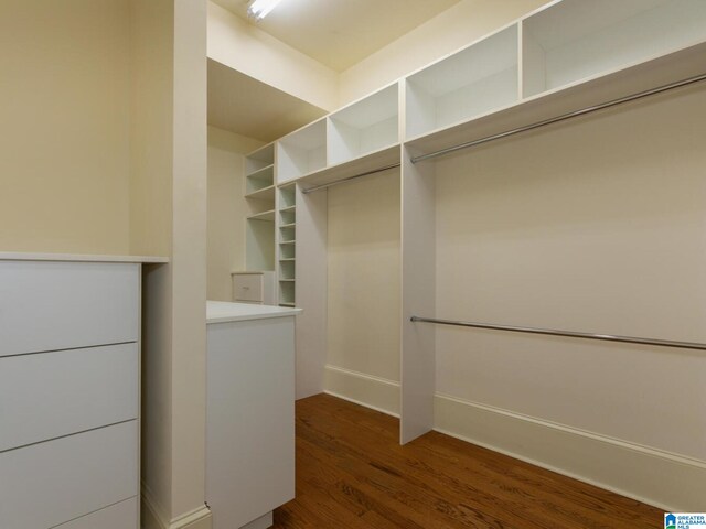 spacious closet featuring dark hardwood / wood-style flooring