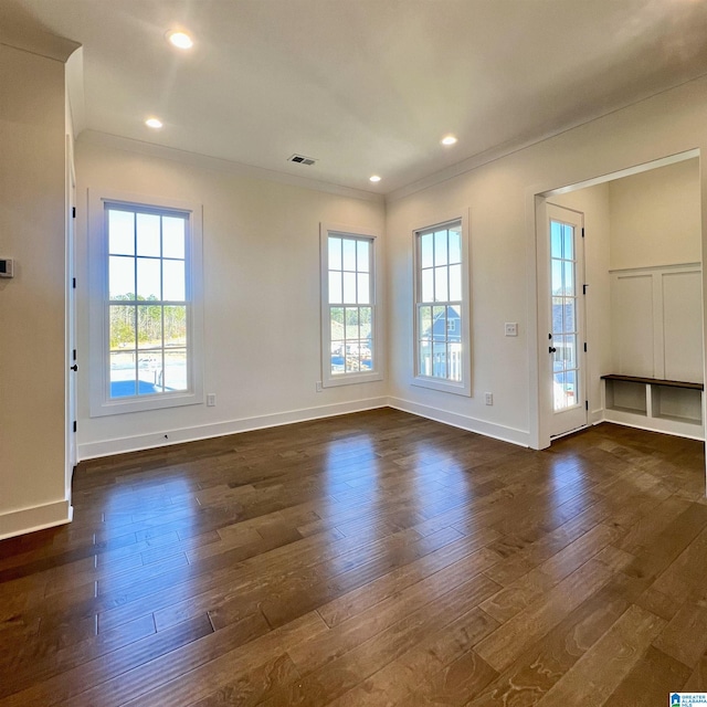 interior space featuring a healthy amount of sunlight, dark hardwood / wood-style floors, and ornamental molding