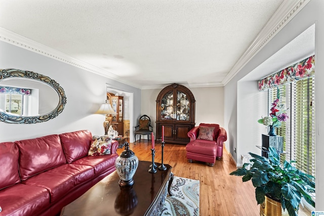 living room featuring hardwood / wood-style floors, crown molding, and a textured ceiling