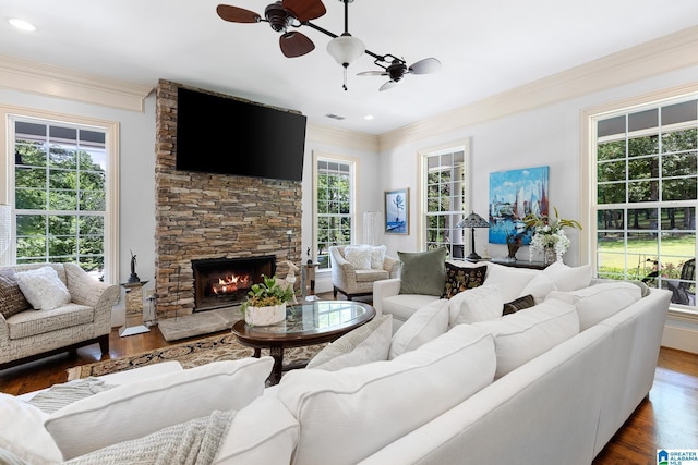 living room featuring plenty of natural light, a fireplace, and dark hardwood / wood-style flooring