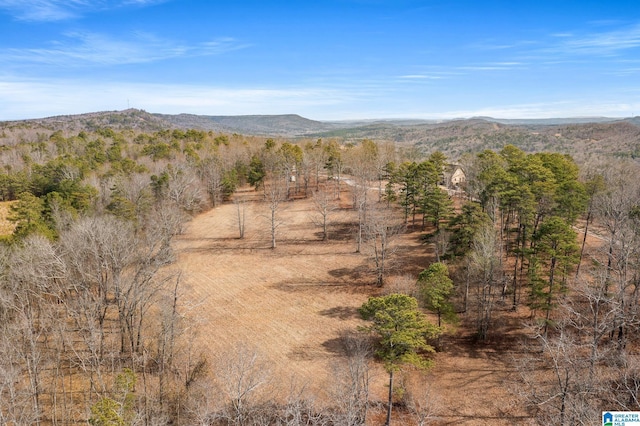 property view of mountains