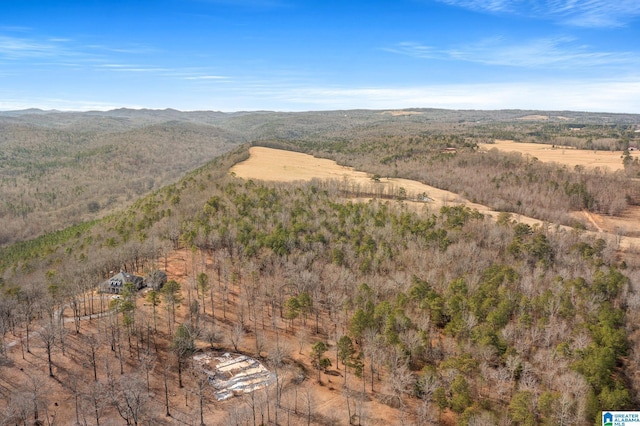 birds eye view of property featuring a mountain view