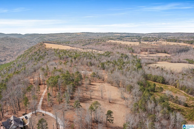 birds eye view of property featuring a mountain view