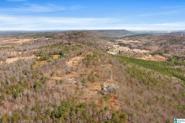 drone / aerial view featuring a mountain view