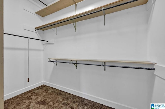 spacious closet with carpet floors