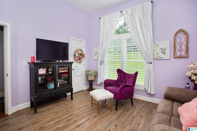 sitting room with wood-type flooring