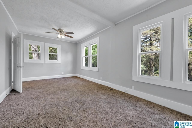 carpeted empty room with ornamental molding, a textured ceiling, ceiling fan, and a healthy amount of sunlight