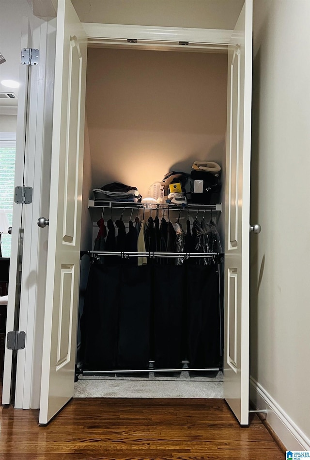 view of closet