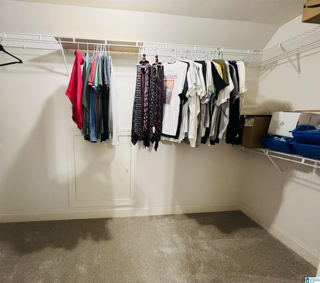 spacious closet featuring carpet flooring