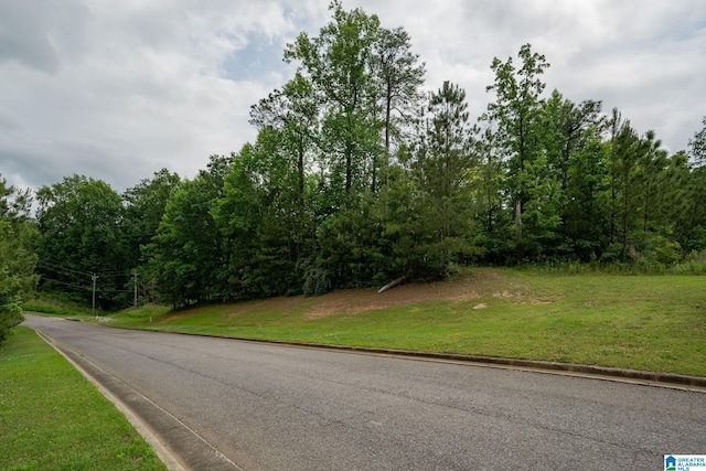 Listing photo 3 for 1621 Chateau Crest Ln Lot 11, Vestavia Hills AL 35216