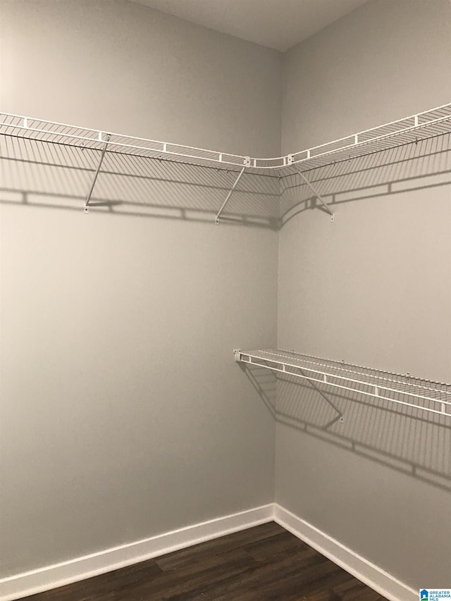 spacious closet featuring dark hardwood / wood-style floors