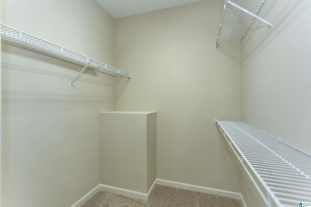 walk in closet with light colored carpet