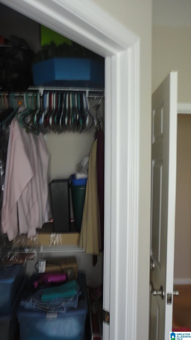 view of closet