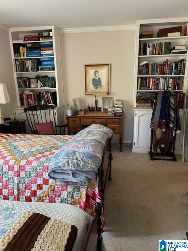 interior space with light carpet and ornamental molding