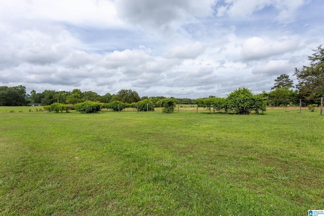 view of yard featuring a rural view