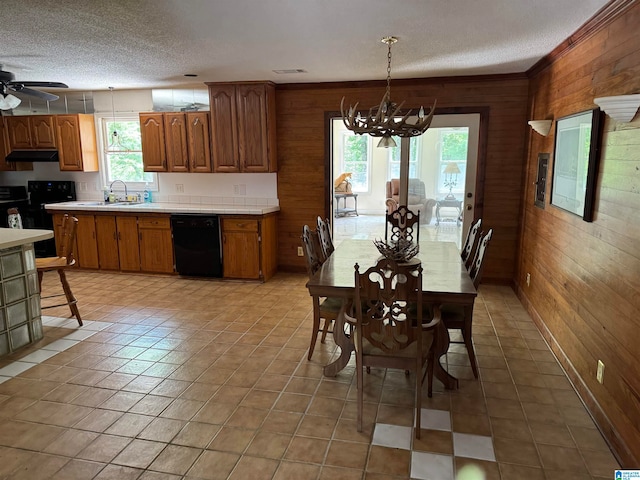 kitchen with dishwasher, wood walls, and a healthy amount of sunlight