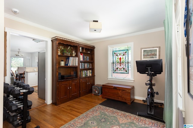 interior space featuring hardwood / wood-style floors and ornamental molding