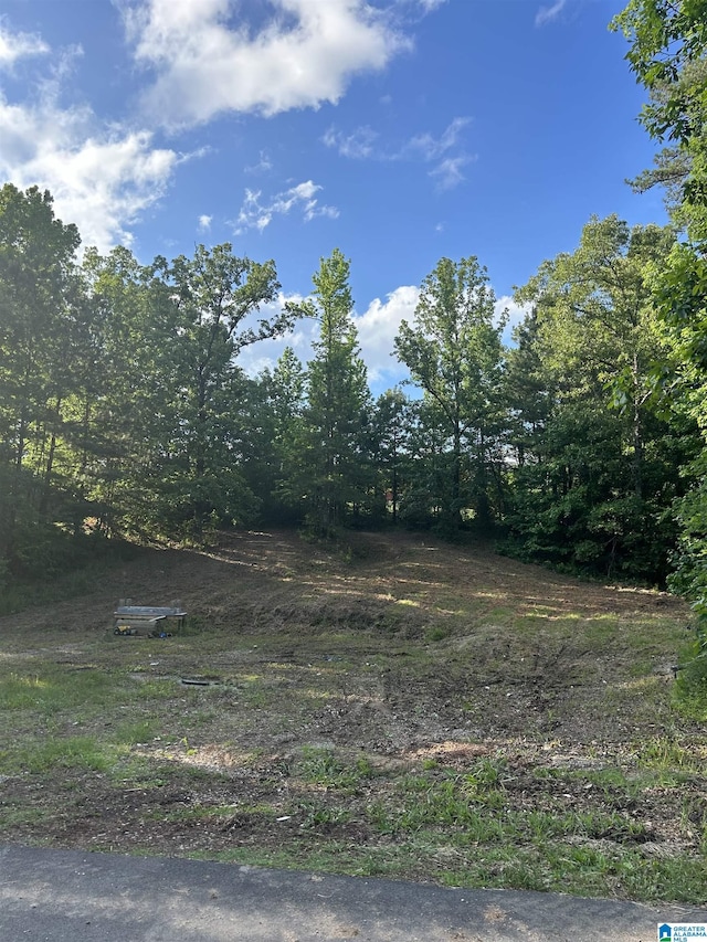 1016 Tall Oaks Cir Unit 1, Mccalla, AL 35111