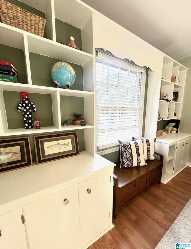 interior space with hardwood / wood-style flooring