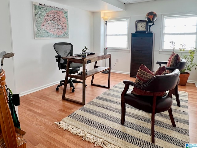 office space featuring light hardwood / wood-style floors