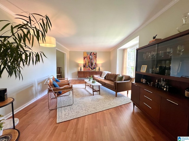 living room featuring light hardwood / wood-style floors and crown molding