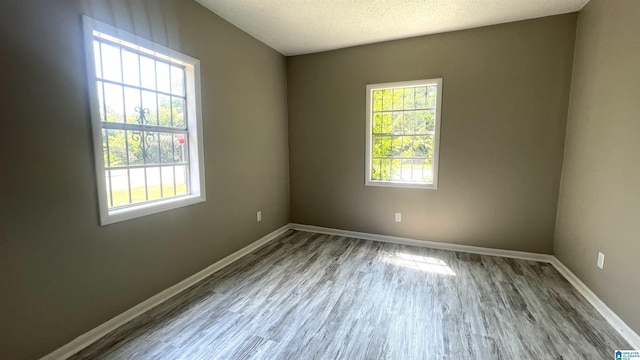 spare room with a healthy amount of sunlight, a textured ceiling, and wood-type flooring