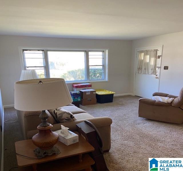 living room with a healthy amount of sunlight and carpet floors