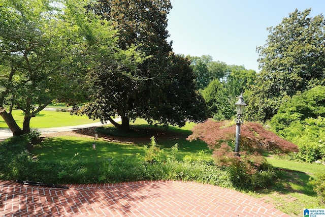 view of community with a lawn