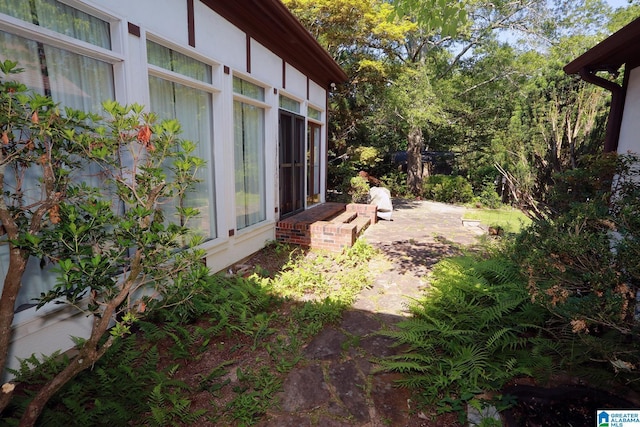 view of yard featuring a patio area